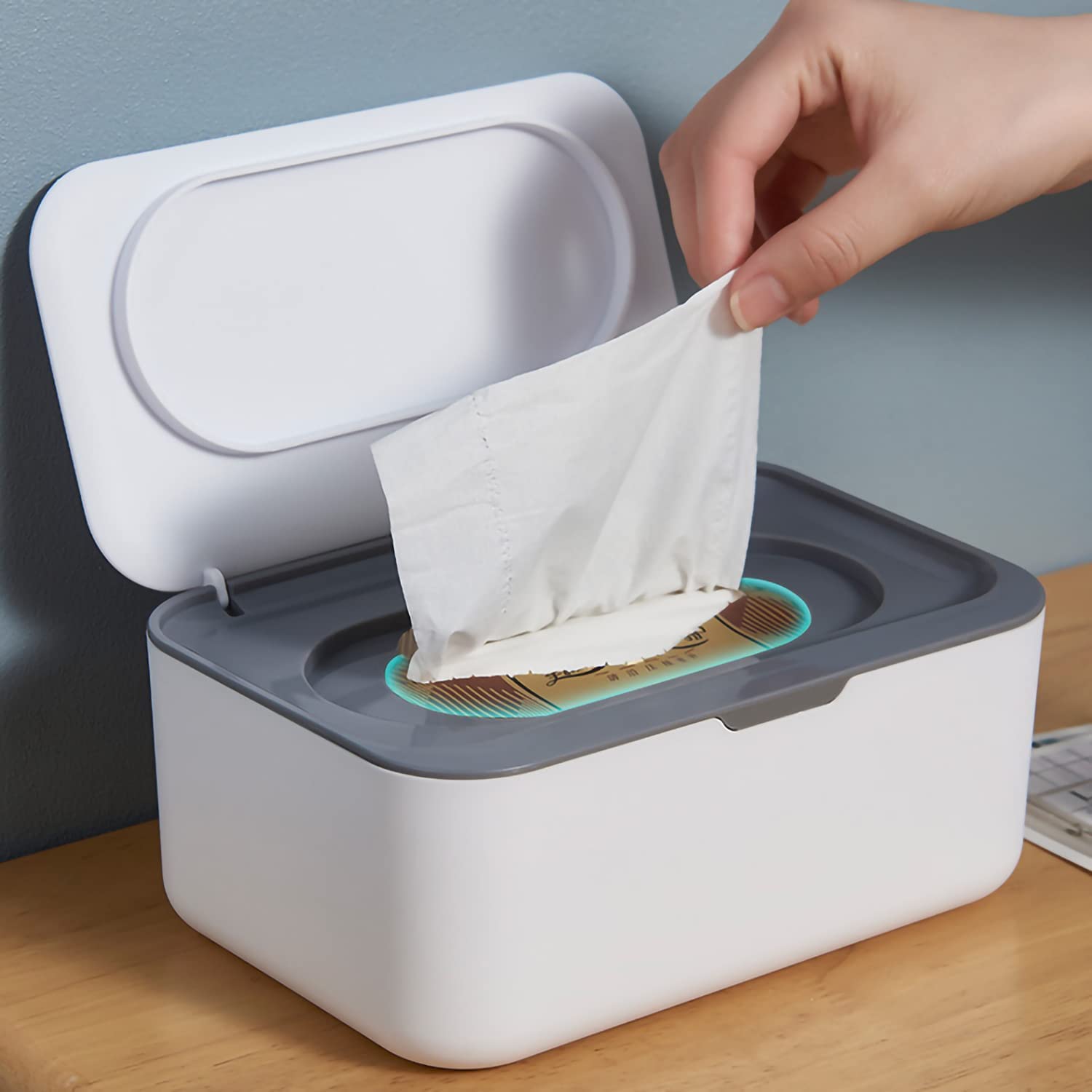 Wipes Dispenser Holder Tissue Storage Box Case With Lid, Wet Wipes Tis ...