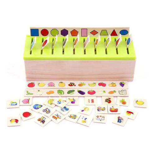 Wooden Knowledge Classification Box – Gifto.pk